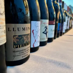 Vini premiati - Guida Vinibuoni d'Italia