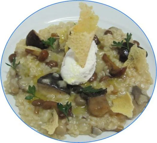 Risotto - piatto