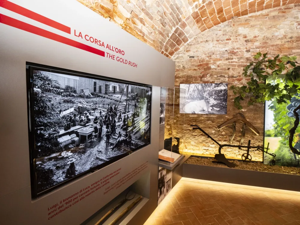 Le sale del museo raccontano la storia degli uomini e del territorio del Monferrato