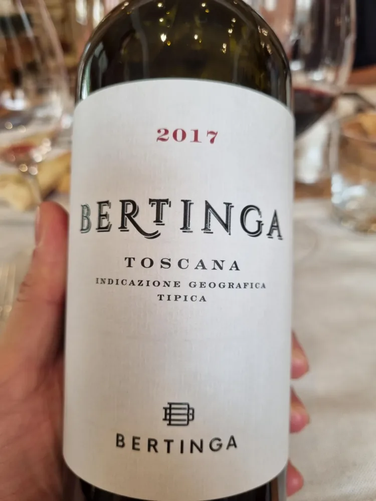 BERTINGA 17