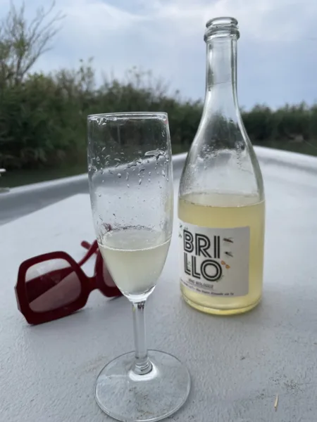 Brillo 2020 Bianco Veneto IGT Frizzante Sur Lie da uve Trebbiano e Pinot Grigio