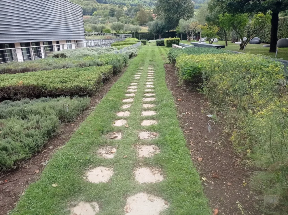 Feudi di San Gregorio Percorso erbe aromatiche aziendali