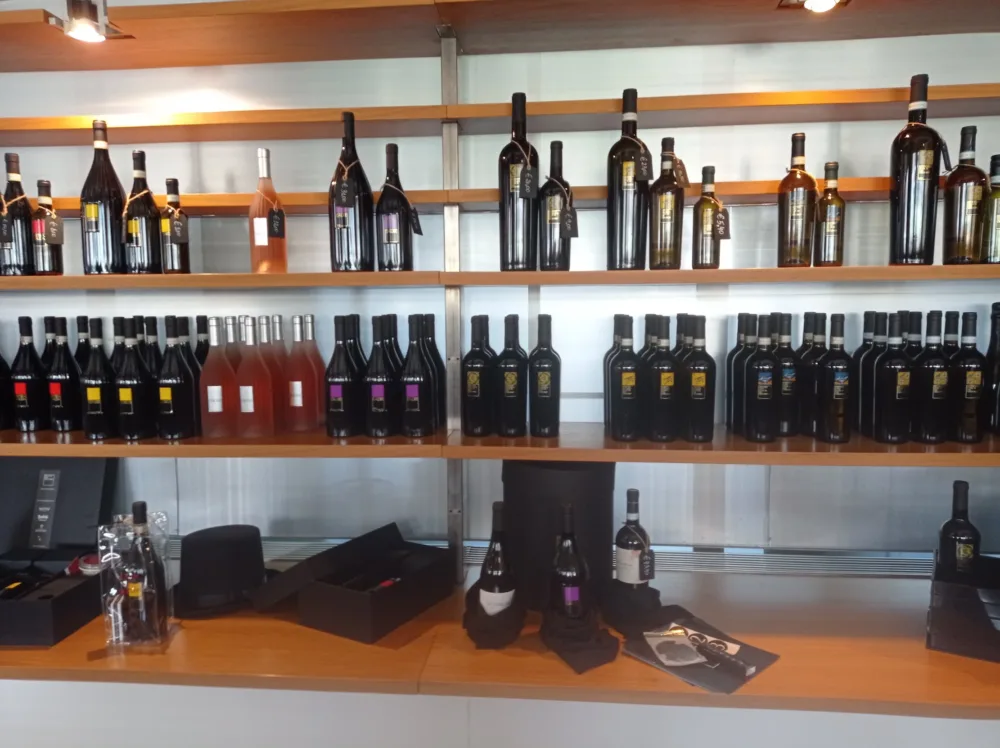 Feudi di San Gregorio Vetrina di vini in esposizione