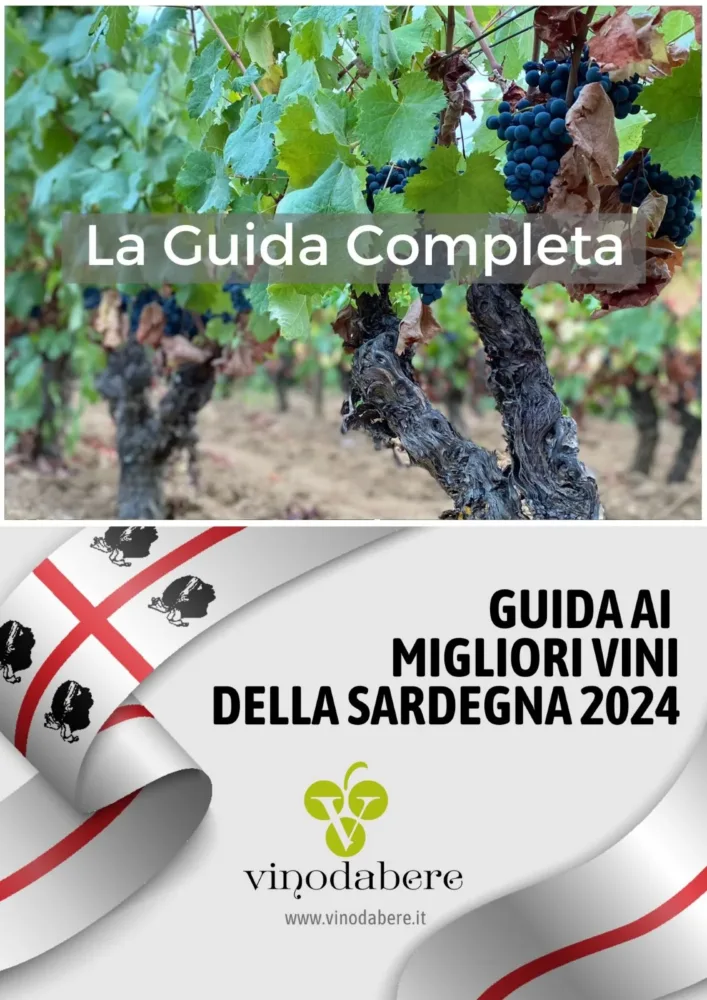 Guida ai Migliori Vini della Sardegna 2024 di Vinodabere.it