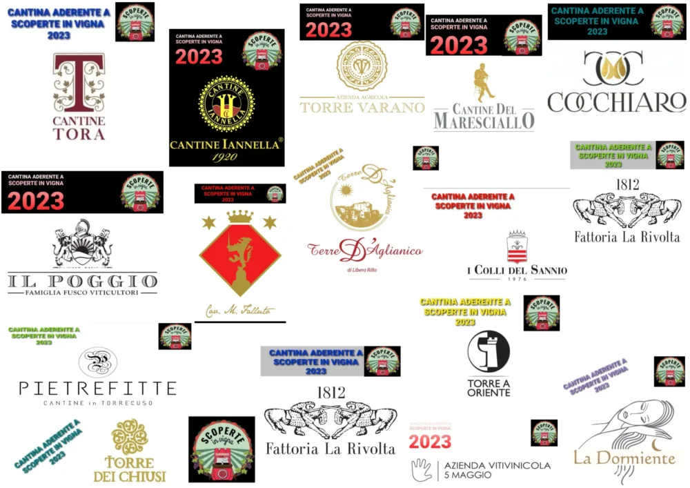 Le Cantine per Scoperte in Vigna 2023