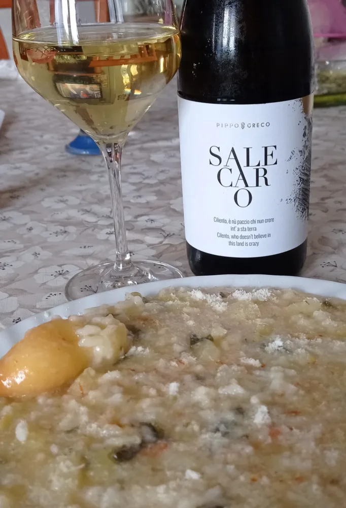 Salecaro Fiano Cilento Dop 2022 Pippo Greco