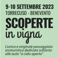 Scoperte in Vigna 2023