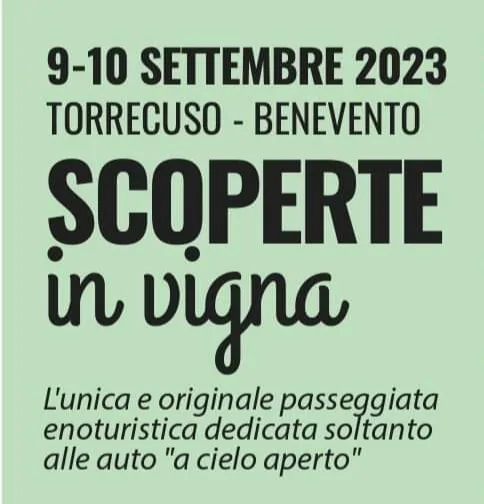 Scoperte in Vigna 2023