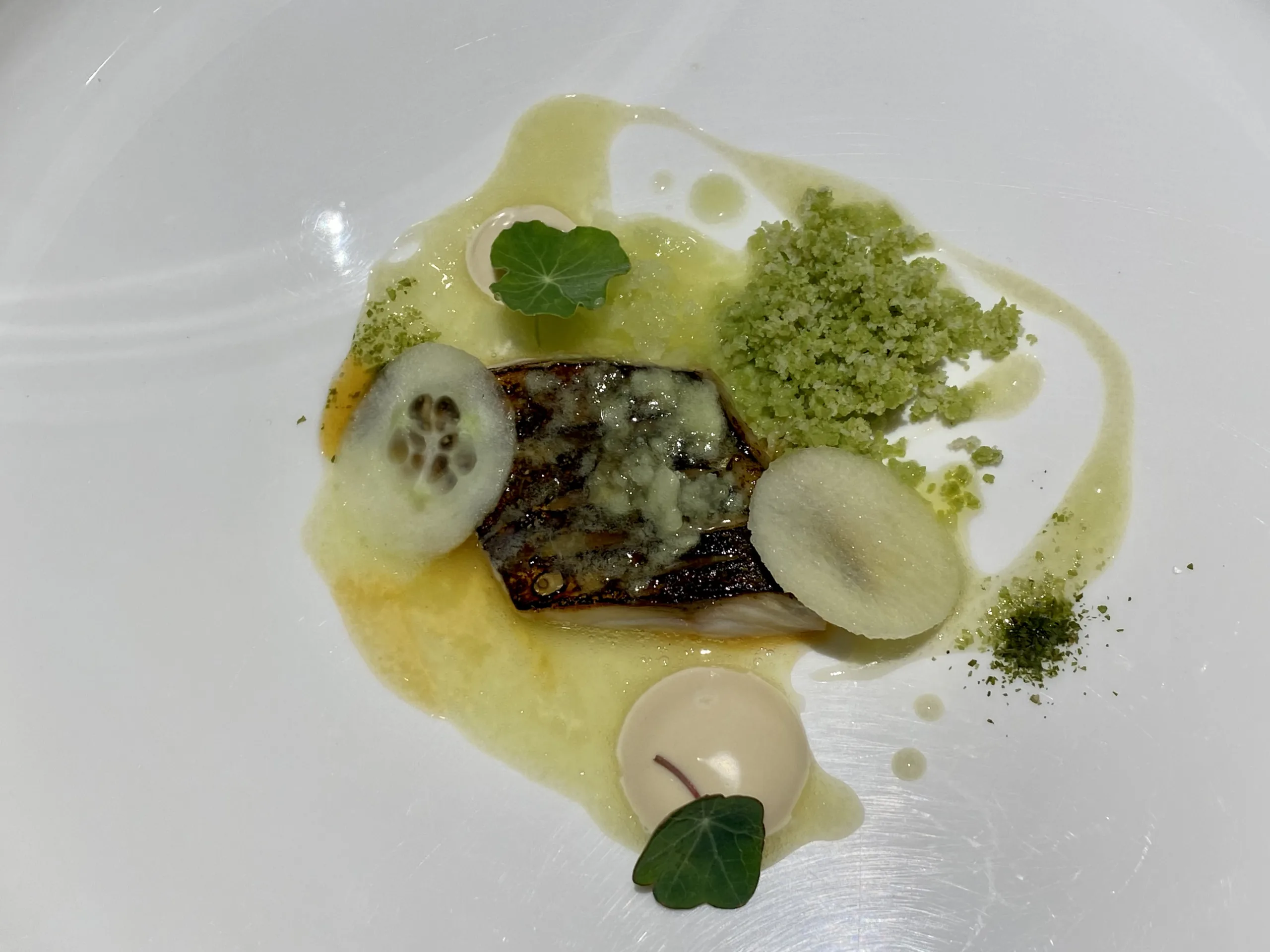 Sgombro-Mela-verde-cetrioli-sedano-e-alghe