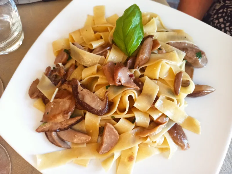 Trattoria Matullo -Le Pappardelle ai Porcini