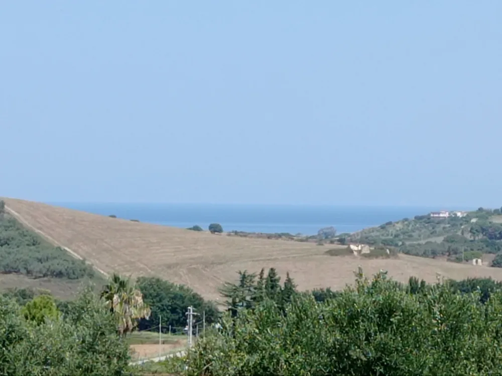 Veduta del mare di Agropoli dalla vigna di Pippo Greco