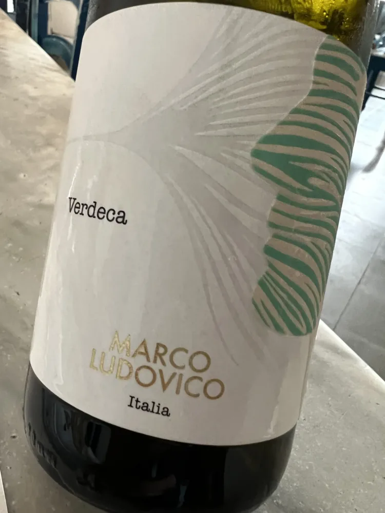 Marco Ludovico – Verdeca 2022