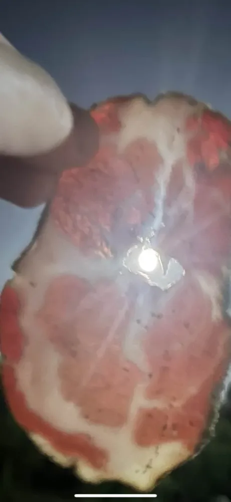 la luna piena nel capicollo