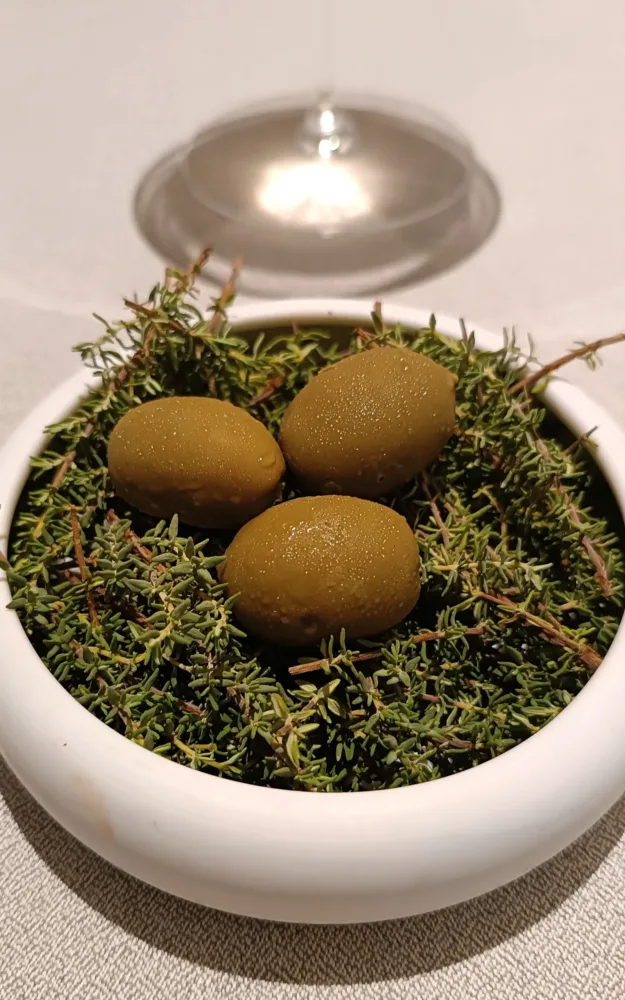 Finte olive ghiacciate