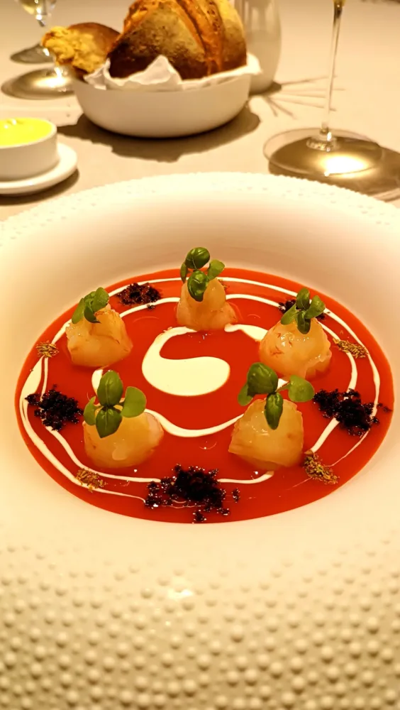 Scampi crudi alla pizzaiola, acqua di polpo