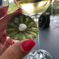 Podernuovo a Palazzone