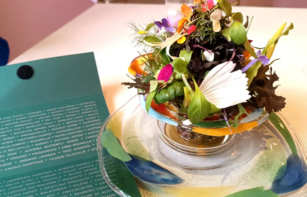 Piazza Duomo - Insalata 21,31,41,51...