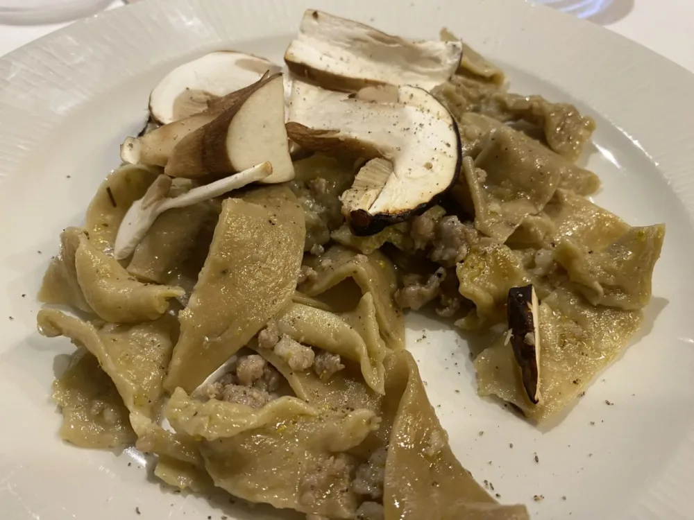 Premiate Trattorie a Olevano Romano -Pappardelle impastate ai funghi porcini, maiale brado, finocchietto e carpaccio di funghi porcini