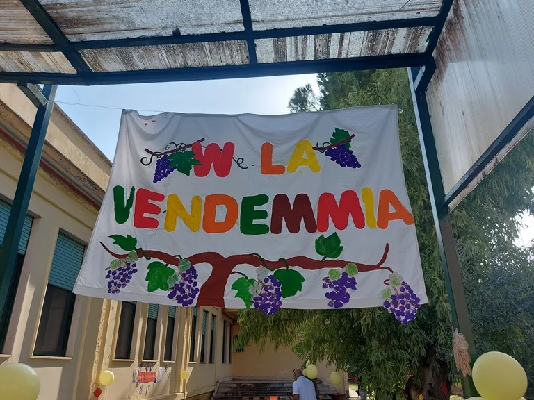 La vendemmi a scuola