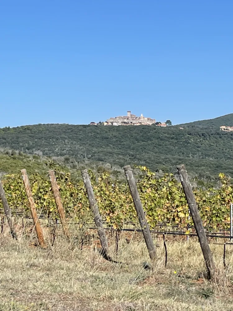 Capalbio e le vigne sottostanti di Monteverro