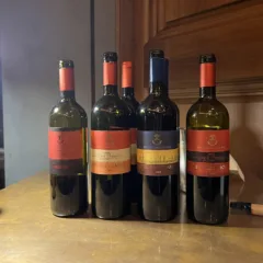 Castello di Vicarello