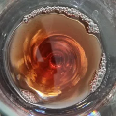 Colacicchi Anagni - colore 1980