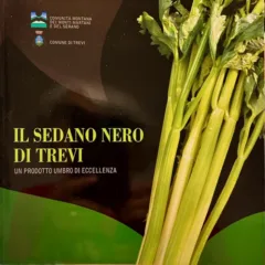 Il Sedano Nero una eccellenza umbra