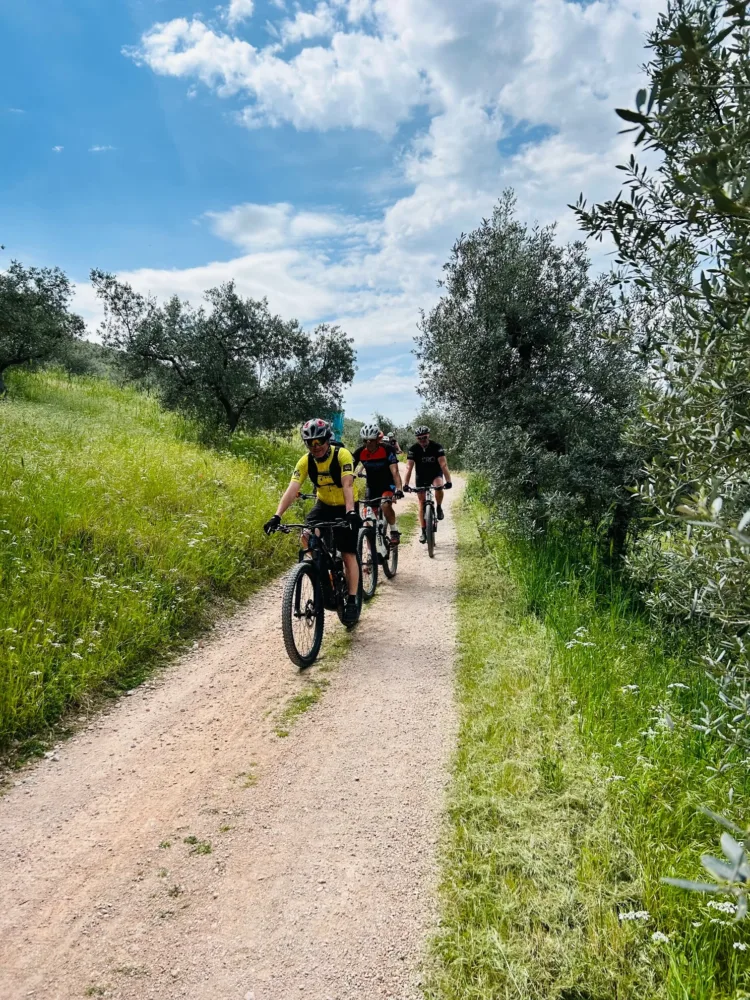 Ciclisti sulla Fascia Olivata Assisi – Trevi – Spoleto