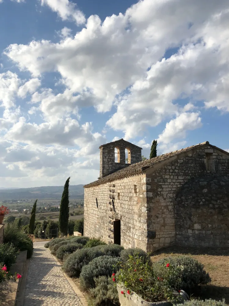 Tartufi a San Pietro a Pettine