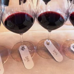 Frescobaldi Luce 2020 - 2007 - brun2018 - lucente 2021