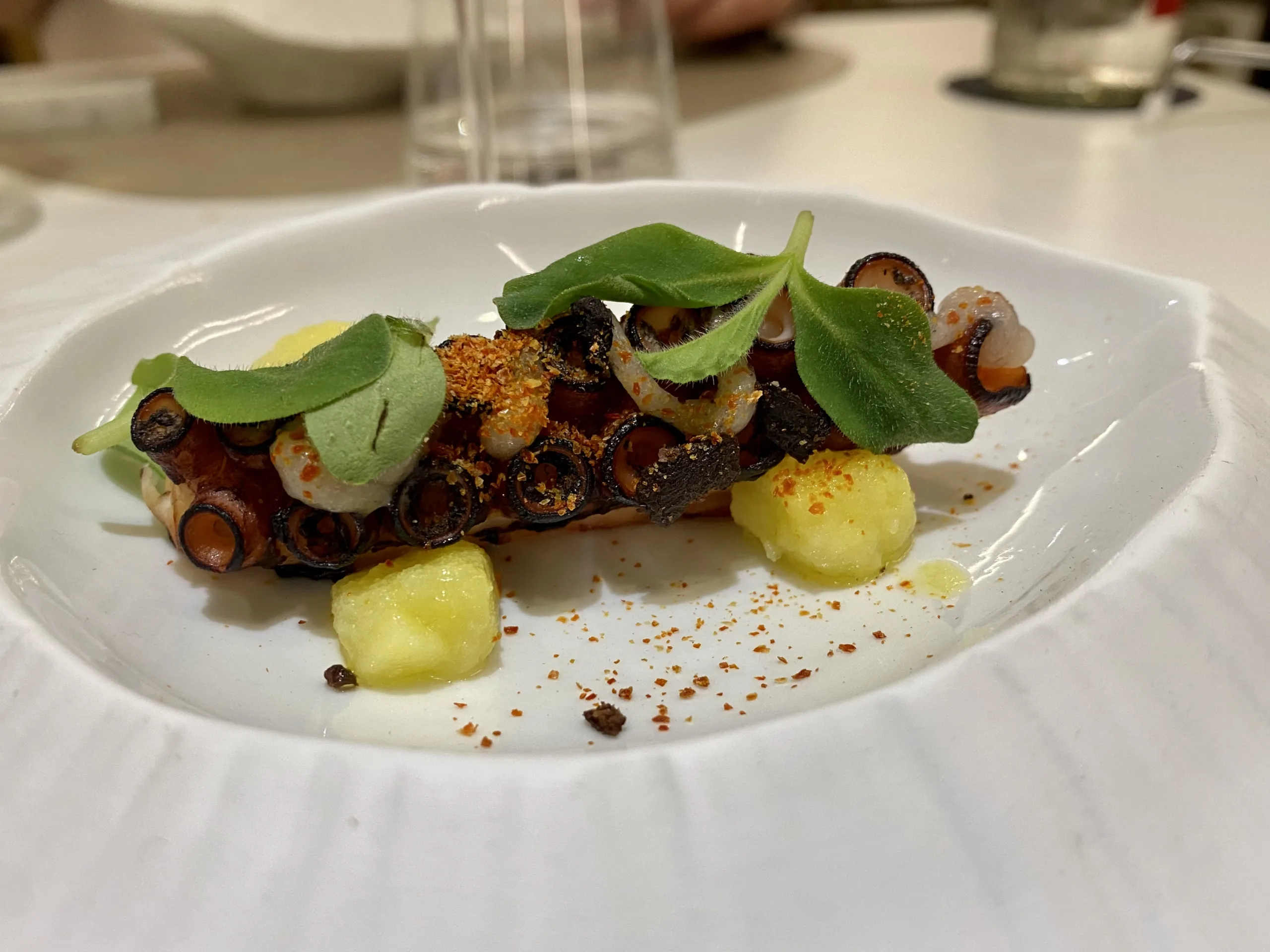 IL-POLPO-Ranfa-di-polpo-arrosto-con-patate-salsa-al-pinzimonio-germogli-e-lemonglass