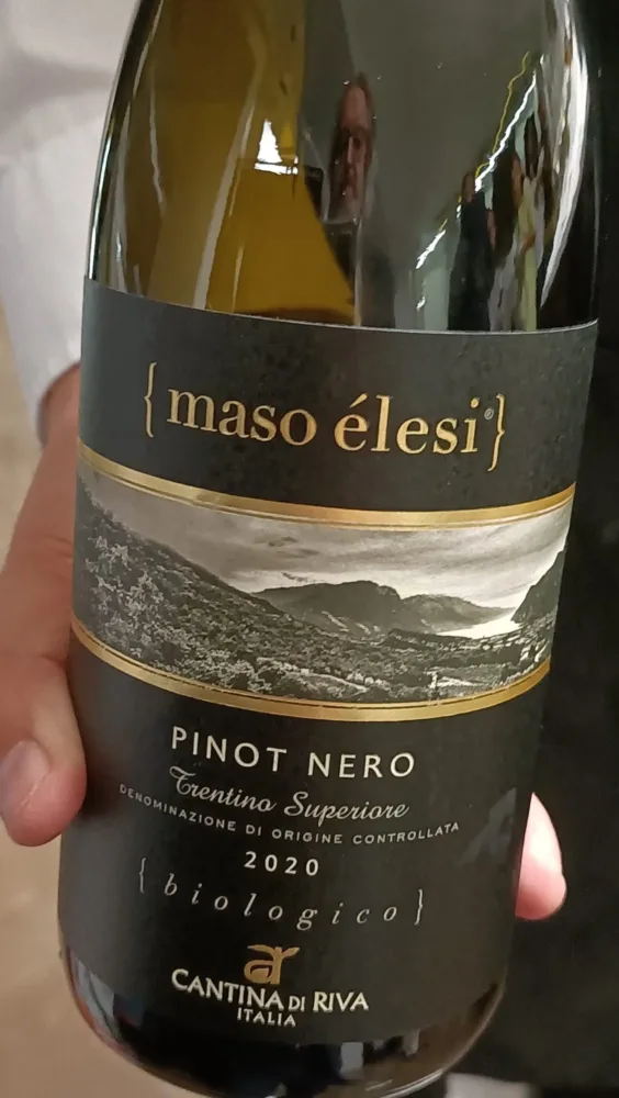 Pinot nero