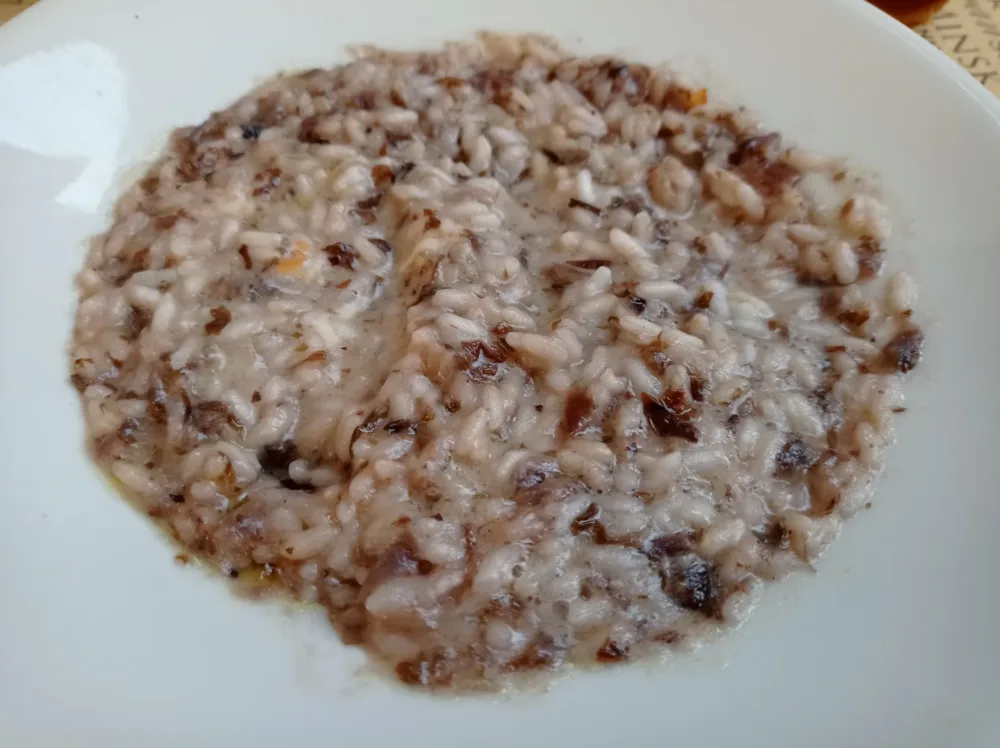 Risotto al radicchio di Treviso e provola