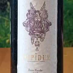 Rosso Marche Igt Oppîdum 1998, Ciù Ciù, Fronte