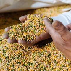 Giornata Mondiale dei Vegani, Select