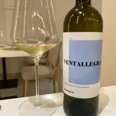Ventallegro-Pallagrello-Bianco-2022-Scaramuzzo