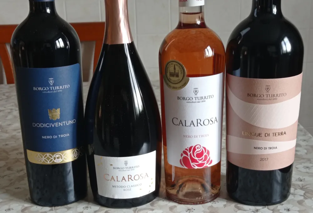 Vini Borgo Turrito