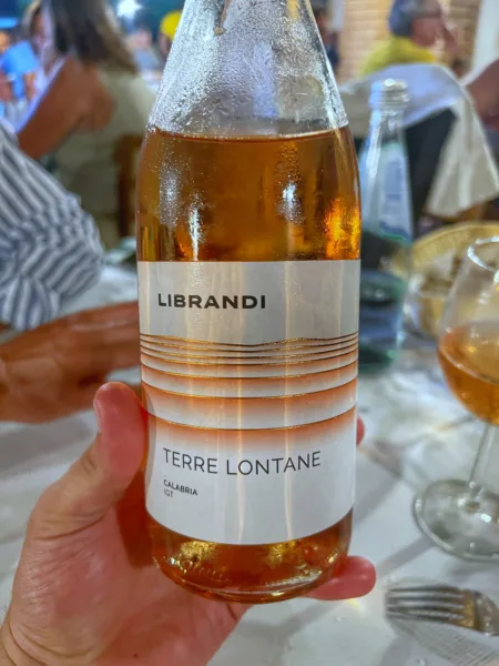 I vini calabresi serviti a la Quercia di San Nicola Arcella