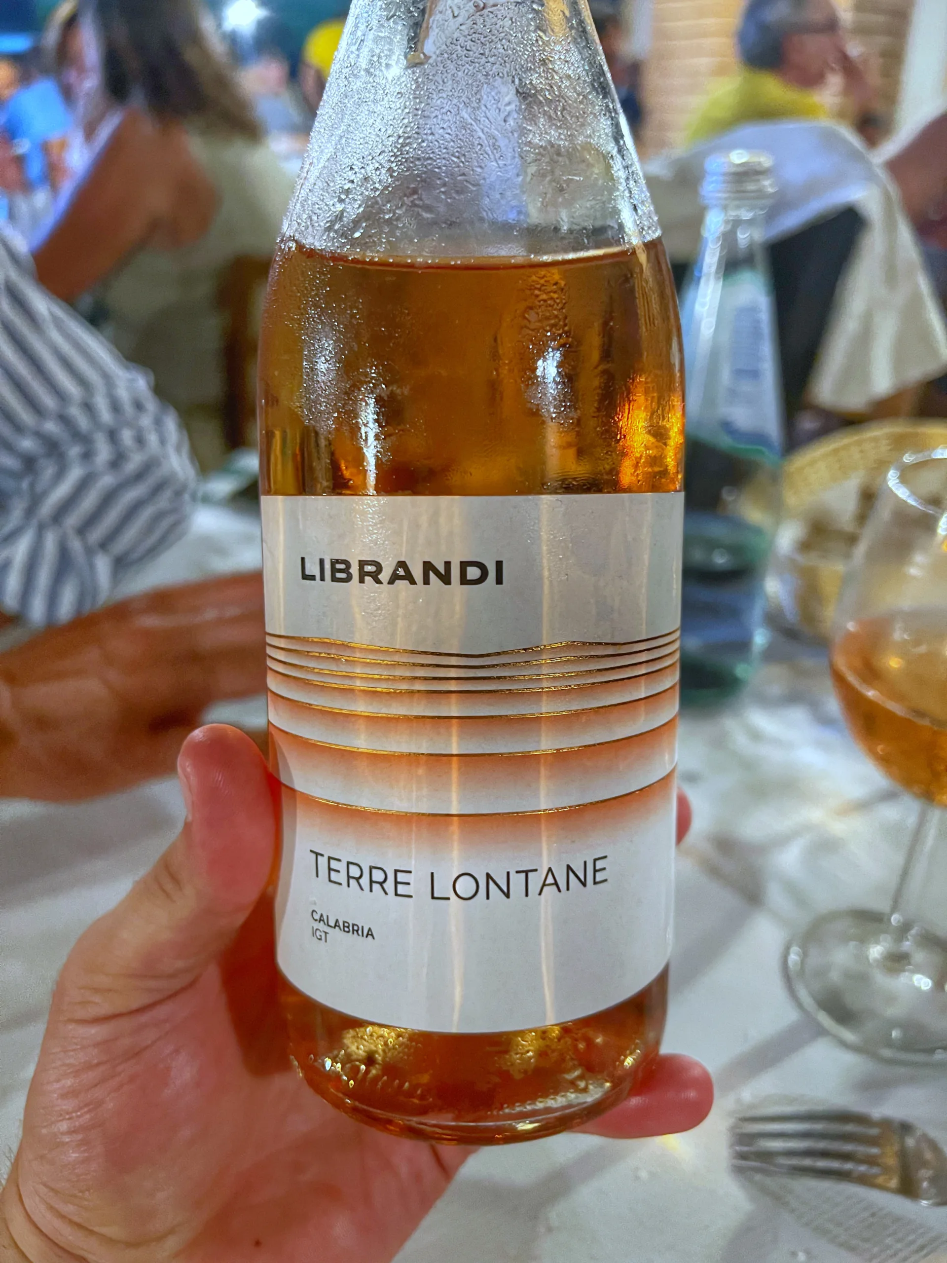 I vini calabresi serviti a la Quercia di San Nicola Arcella