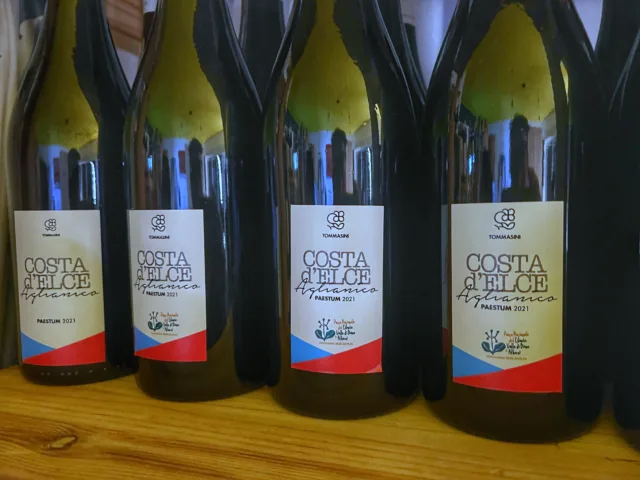 I vini dell'azienda agricola Tommasini di Capaccio Paestum