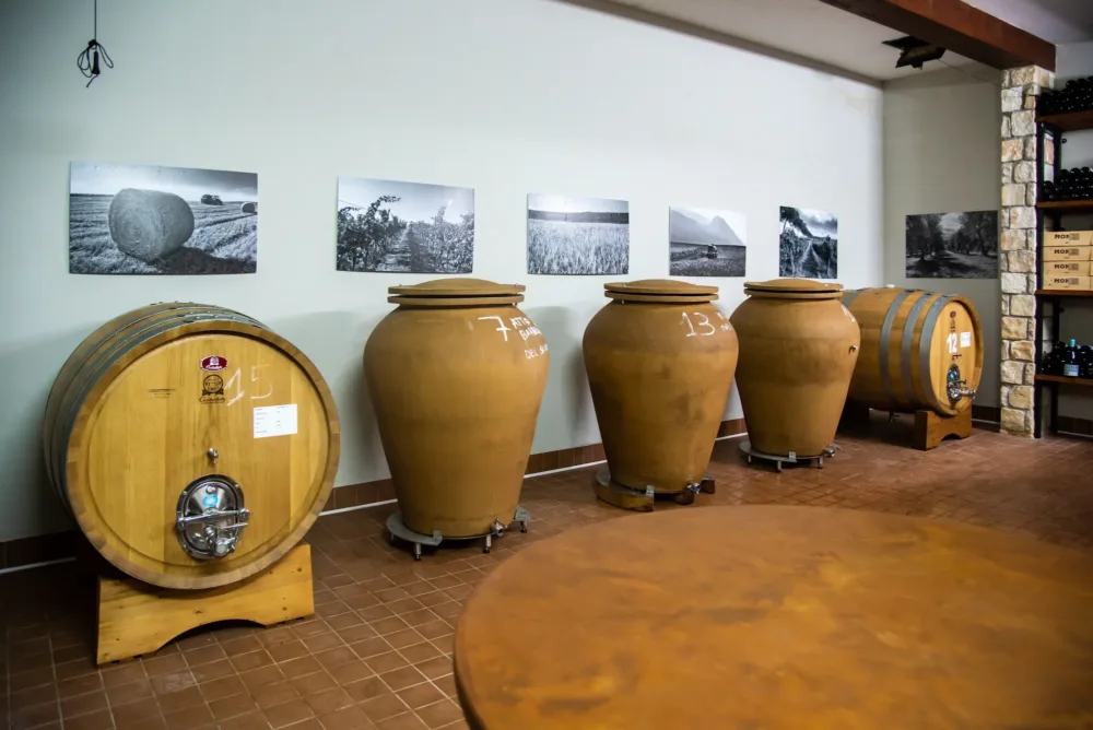 Monferrato Cantina