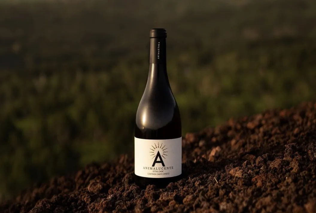 Animalucente-Etna-Bianco-DOC