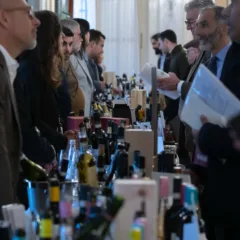 Anteprima VitignoItalia