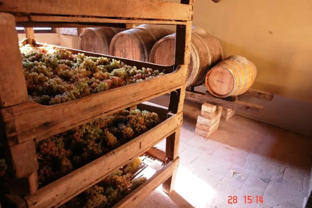 Appassimento uva per vinsanto