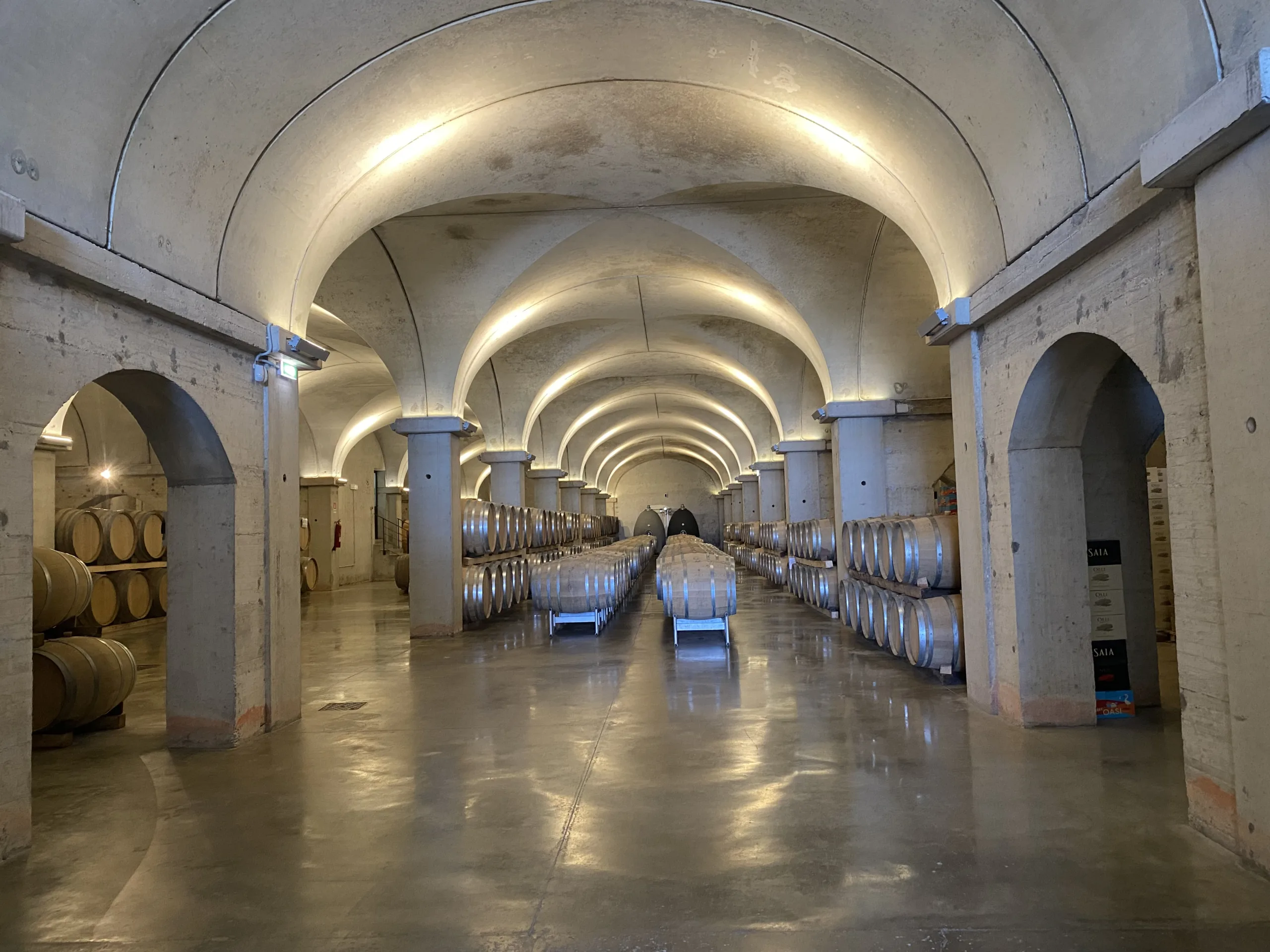 Cantina-Feudo-Maccar