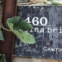 460 Casina Bric - Targa della cantina