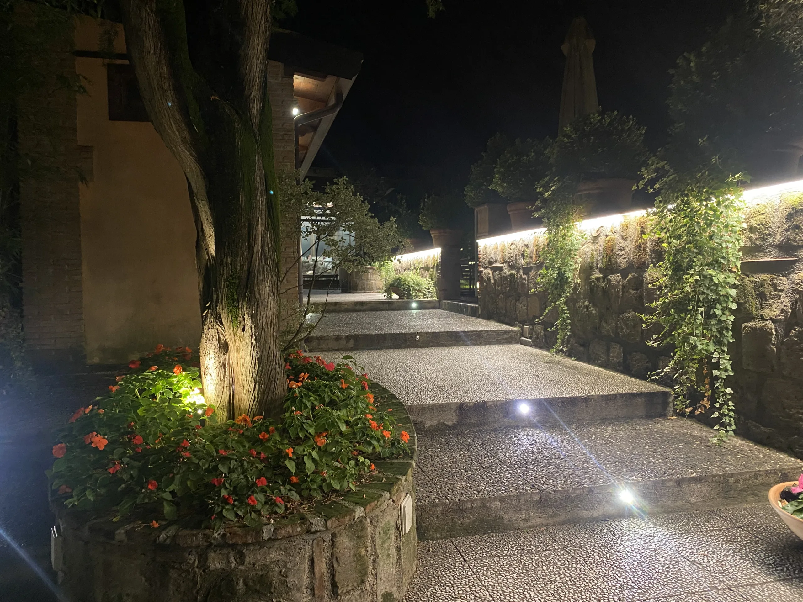 Il-Foro-dei-Baroni-Osteria-Pizzeria