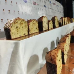 Matro Panettone