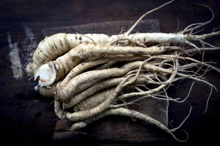 Pastinaca di Capitignano – © Marco Del Comune