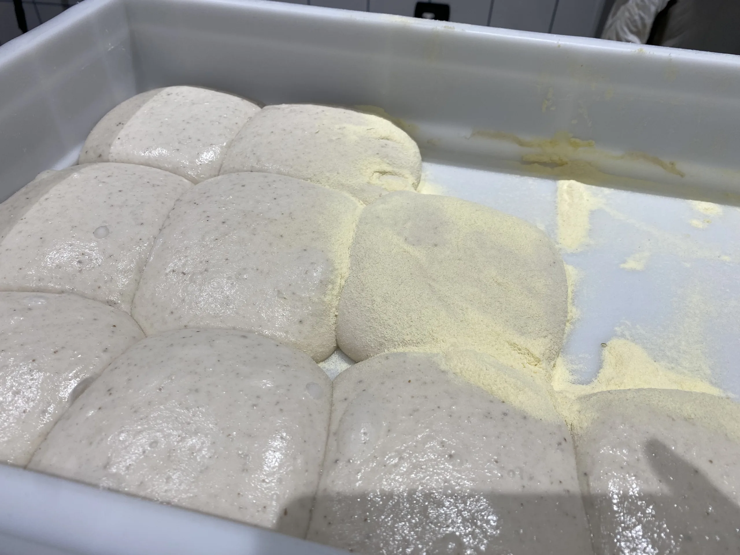 Quattro-Spicchi-panetti-da-260-gramm